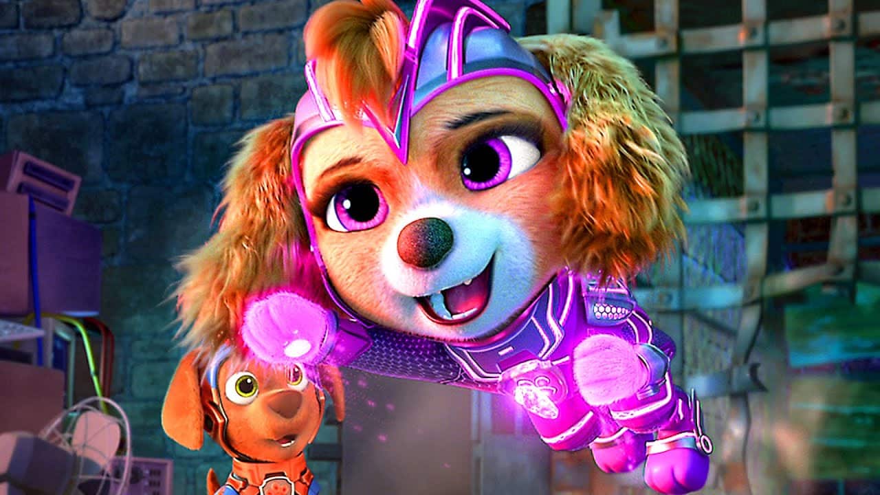 skye paw patrol